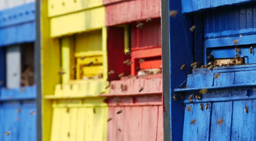 Zlínský kraj vloni podpořil stovku včelařů, žádat o dotace mohou i letos