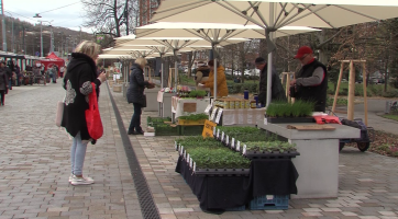 Tržiště Pod Kaštany ve Zlíně se chystá na novou sezonu