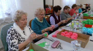 Přes 30 000 růžiček bude zdobit koně na květnové Jízdě králů