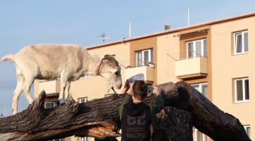 Příměstské tábory v Hodoníně se začínají pomalu zaplňovat