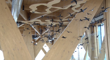 Dům přírody se v Hodoníně otevře na Mezinárodní den dětí