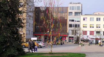 Nová tradice ve Zlíně! Poblíž radnice vyrostl Velikonoční strom