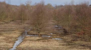 Otrokovice vyrazily do předjarního boje proti komárům. Jejich larvy hubí na Baťově