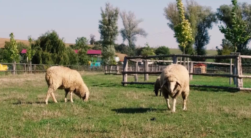 Mikroregion Buchlov vyhlásil videosoutěž Folklor a tradice okolo Buchlova