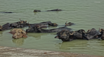 Uherskohradišťská knihovna pozvala veřejnost na cestu po Indii