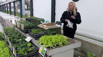 Tržiště Pod Kaštany čeká první dubnovou sobotu slavnostní otevření