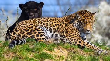 Zlínská zoo o Velikonocích praskala ve švech! Za pět dní přilákala přes 35 000 návštěvníků