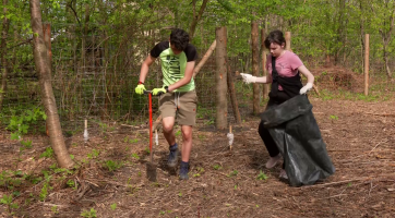 Brodští gymnazisté opět zalesňují holiny po kůrovcové kalamitě 