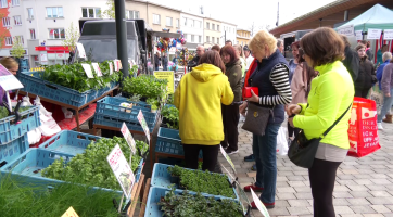 Tržiště Pod Kaštany oficiálně zahájilo druhou sezónu po revitalizaci