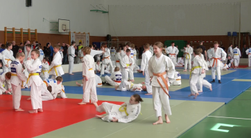 Mladí judisté bojovali o medaile