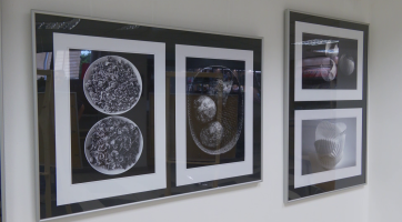 Neobyčejná výstava Obyčejných věcí Jana Botka je k vidění v art GALERII info 