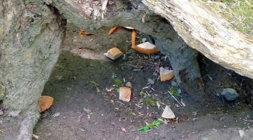 Muž ze Zlína vysypal na břehu řeky zbytky jídla. Strážníci ho „odměnili“ pokutou