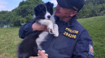 Seznamte se! Toto je Zoe, budoucí specialistka na vyhledávání výbušnin