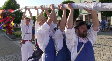 Folkloristé vztyčili máju tradičním způsobem