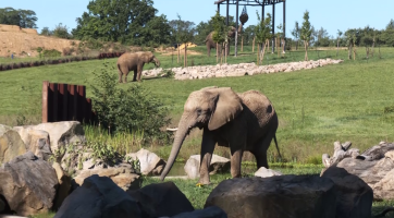 Vedení kraje podpoří rozšíření zlínské zoo 25 miliony korun