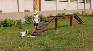 V ulici Svatováclavská vznikl nový psí výběh
