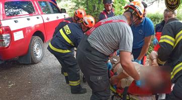 Při práci v lese zavalil muži nohu vzrostlý strom