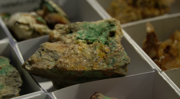 Za minerály a fosíliemi dorazily opět stovky lidí