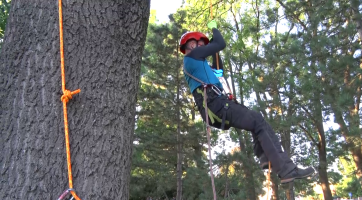 Během oslavy Dne stromů představili v Hodoníně práci arboristů