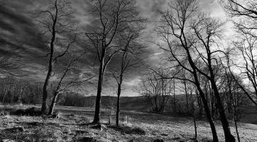 V Art Galerii Info je k vidění výstava Krajina blízká objektivem Zdeňka Zábranského