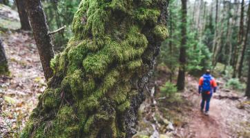 Východní Moravu a Trenčínský kraj propojí naučné stezky 