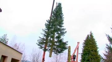 Vánoční strom se ve Vsetíně rozsvítí dnes večer