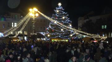 Vánoční strom letos pochází ze Štěpnic