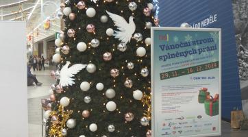 Strom splněných přání letos opět rozsvítil naději