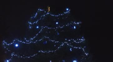 Vánoční strom už svítí i na Baťově