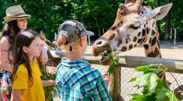 Rok 2024 byl pro zlínskou zoo třetím nejúspěšnějším v historii