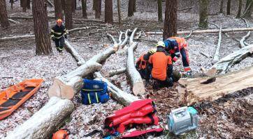 V lese u Vizovic se vážně zranil dřevorubec. Letěl pro něj vrtulník