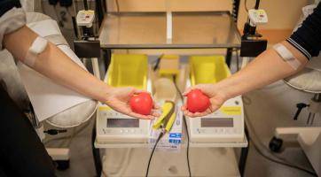 Darovat krev se mladí nebojí. V roce 2024 přibylo v Baťově nemocnici 855 prvodárců