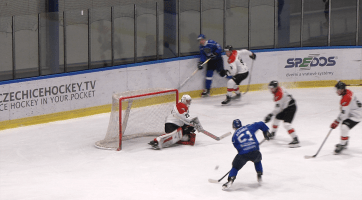 Bobři doma prohráli se Znojmem 4:7