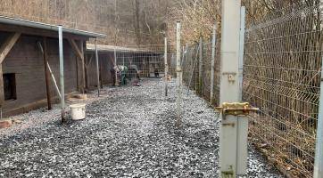 Ve zvířecím útulku ve Vsetíně se staví nové výběhy