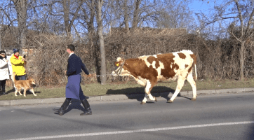 Fašaňkový průvod protančil Nětčicemi a ohlásil postní období