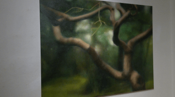 Galerie zve veřejnost na výstavy Nákupka a Hlava