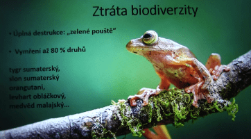 Přednáška upozornila na ničení pralesů