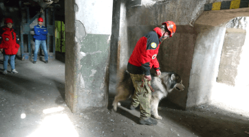 Záchranářští psi předvedli své umění