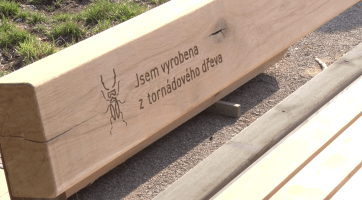 V Hodoníně začala instalace dalších laviček z tornádového dřeva
