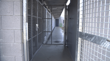 Nový útulek pro psy čeká na své první obyvatele