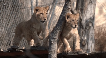 Magazín Zlín/Otrokovice 5. 4. 2025