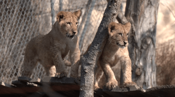 Magazín Zlín/Otrokovice 26. 4. 2025