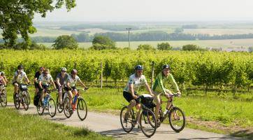 Otevírání vinařských cyklostezek na Uherskohradišťsku je tady! Novinkou jsou tři historické trasy