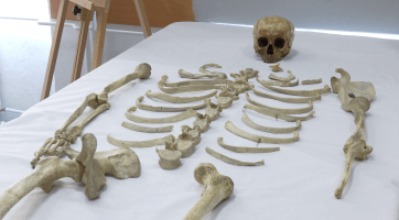 ZŠ UNESCO ukončila zkoumání lidské kostry