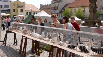 Brodské náměstí ožilo celosvětovou akcí Den Země