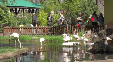 Dům přírody spojil oslavy Dne Země se zoologickou zahradou