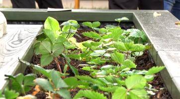 Magazín Hodonín 31. 5. 2025