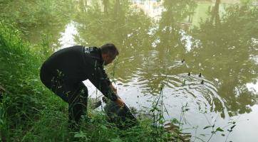 Do záchrany neposedných kachňat v Luhačovicích se zapojili strážníci i hasiči