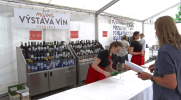 Májová výstava vín Veselska nabídla na 260 vzorků