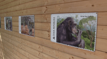 Hodonínská zoo slaví výročí založení množstvím kulturních a zážitkových akcí